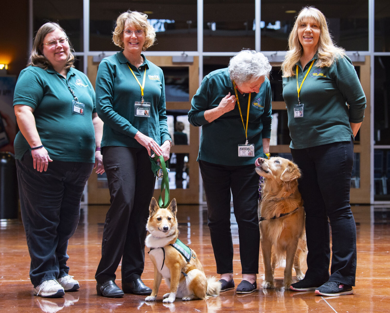 041121-news-hopedogs 1.jpg